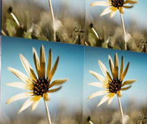 宴会厅LED显示屏尺寸规格及选择注意事项