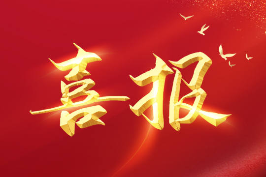 喜报 | 悟空体育荣登2024粤港澳大湾区企业创新力榜单