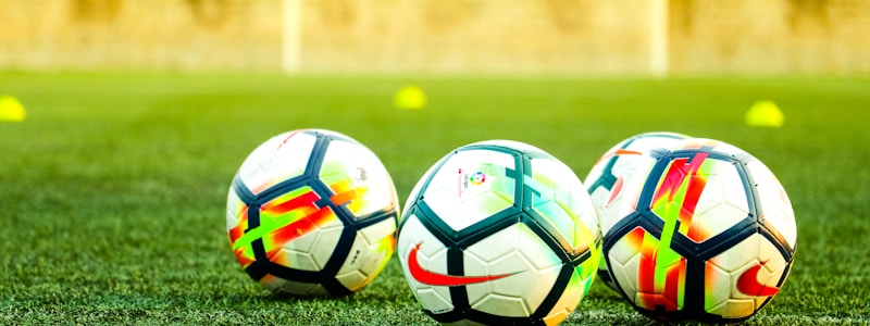 体育数据分析图表展示